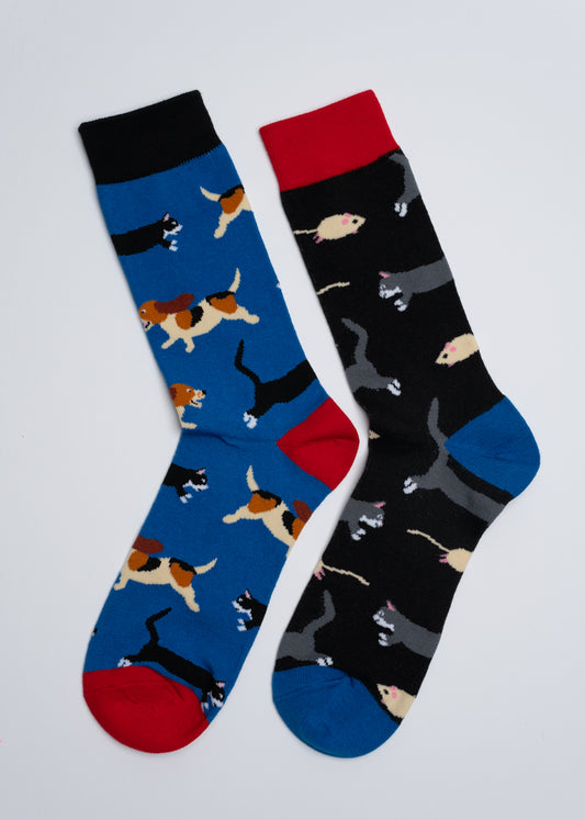 Cats and dogs mismatched socks
