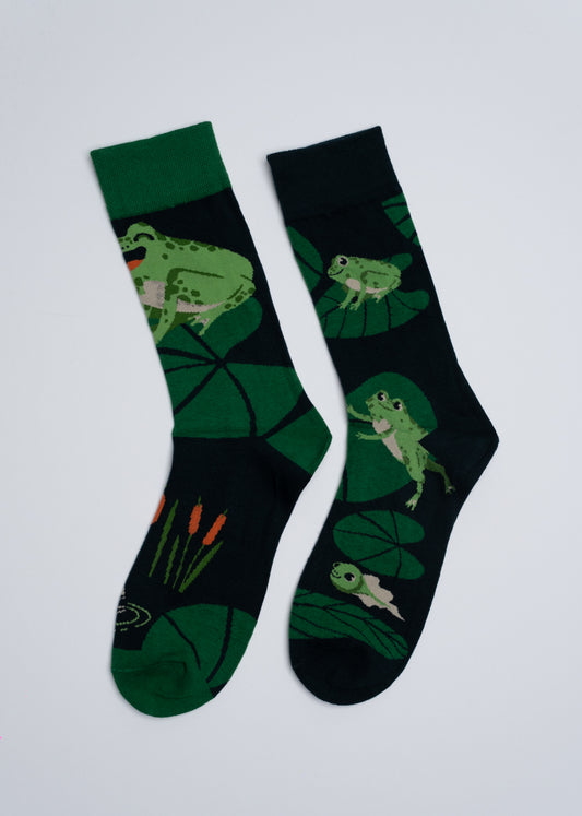 Mismatched frog world socks