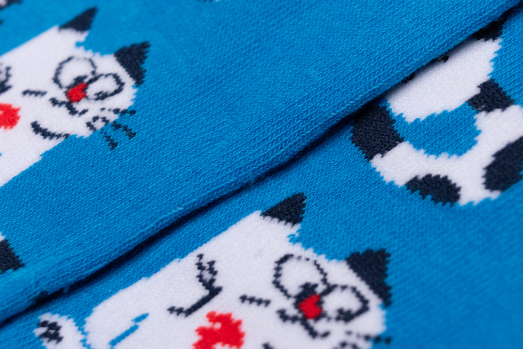 Cute kittens paws socks