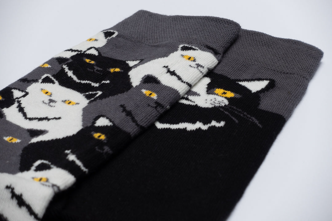Funny mismatched cats faces socks