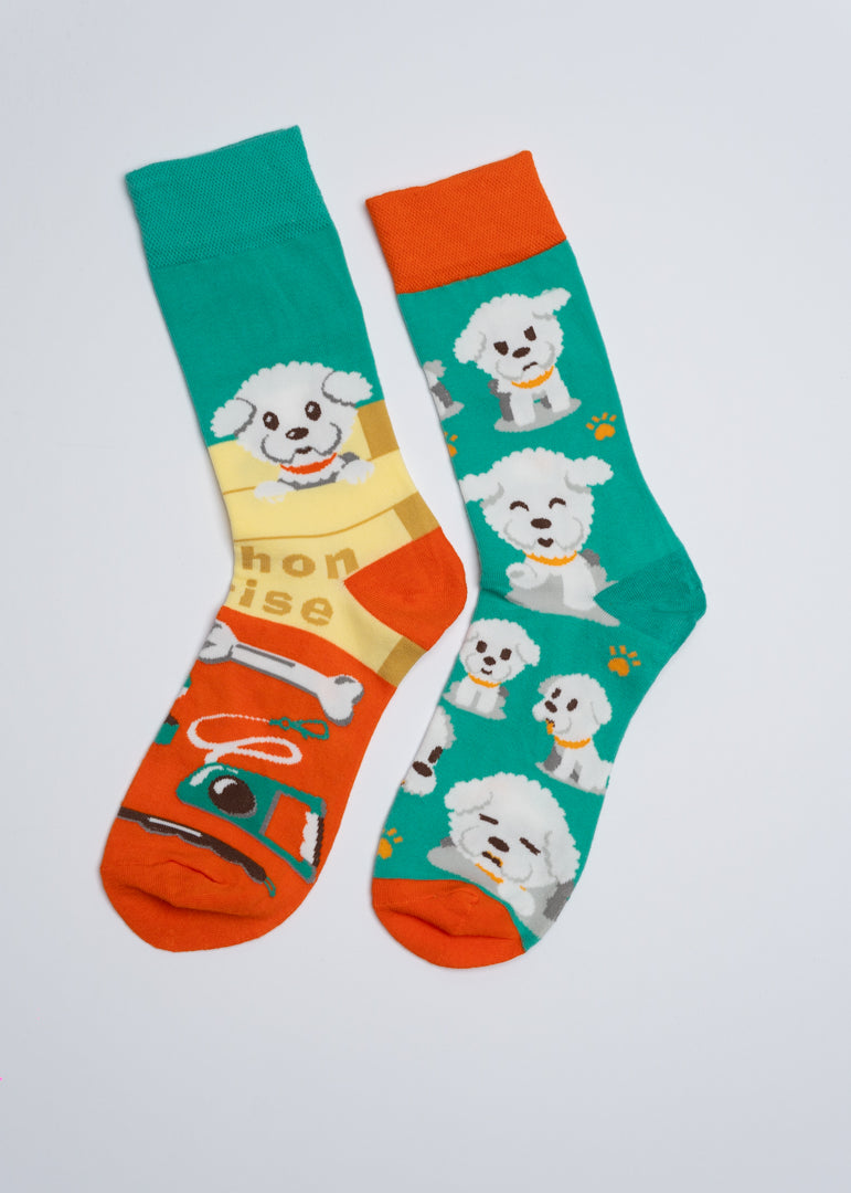 Wholesome white puppy mismatched socks