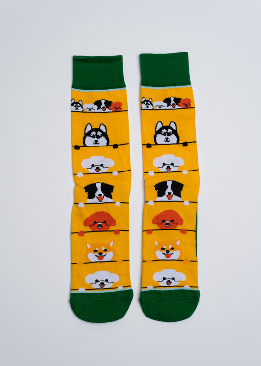 Curious pups socks