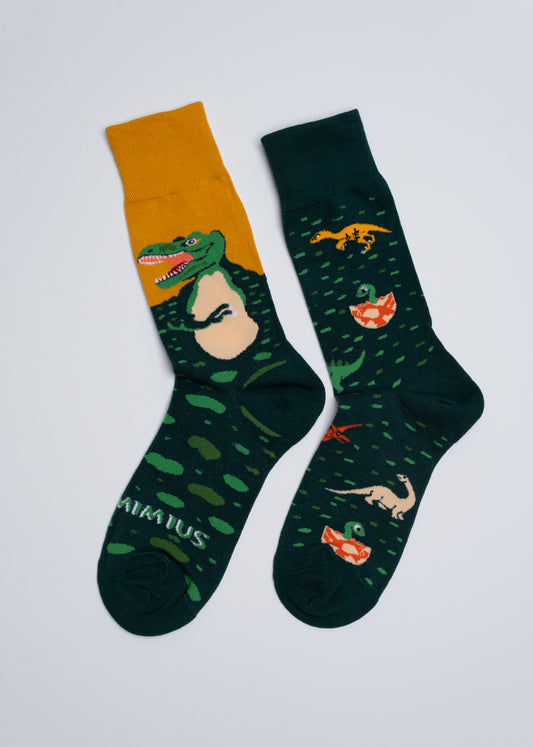 Mismatched dinosaur socks