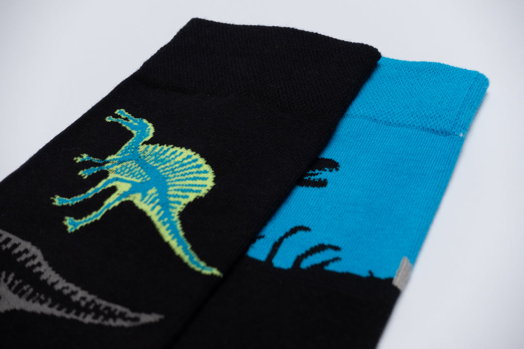 Glowing dinosaurs mismatched socks