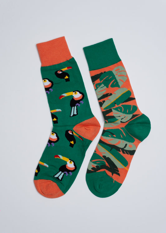 Toucan Mismatched socks