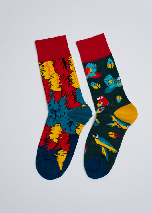Colorful macaws mismatched socks