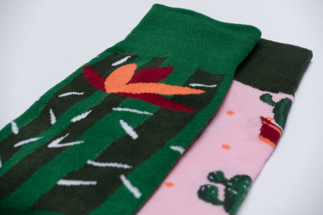 Cactus mismatched socks