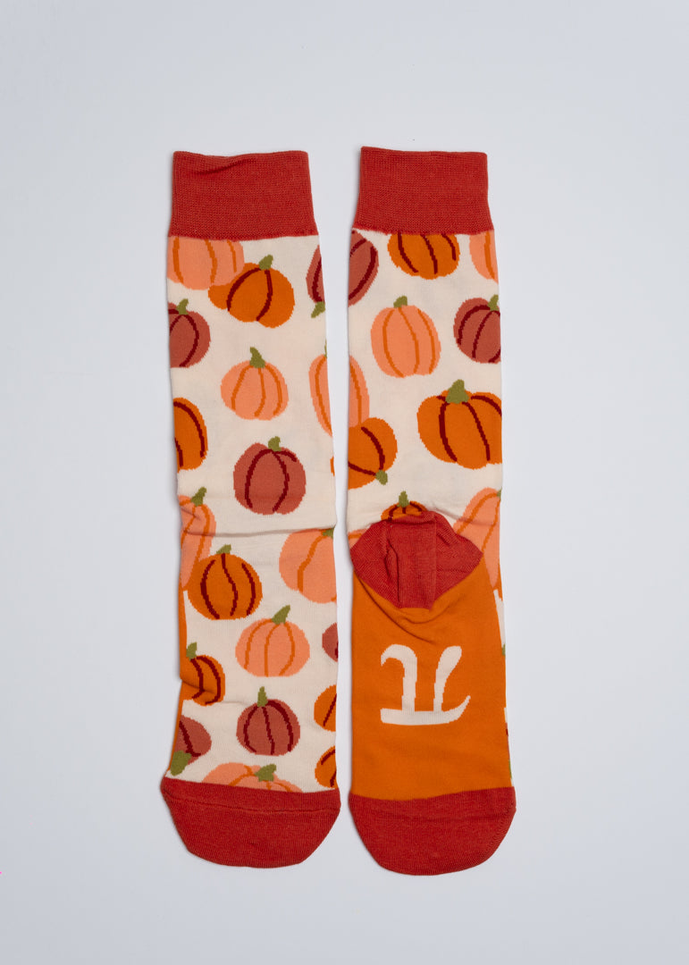 Pumpkin Pi socks